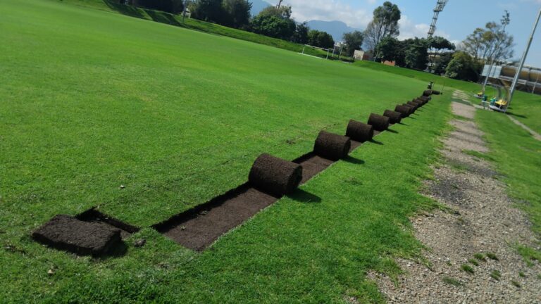 La grama de El Campincito tendrá nueva vida